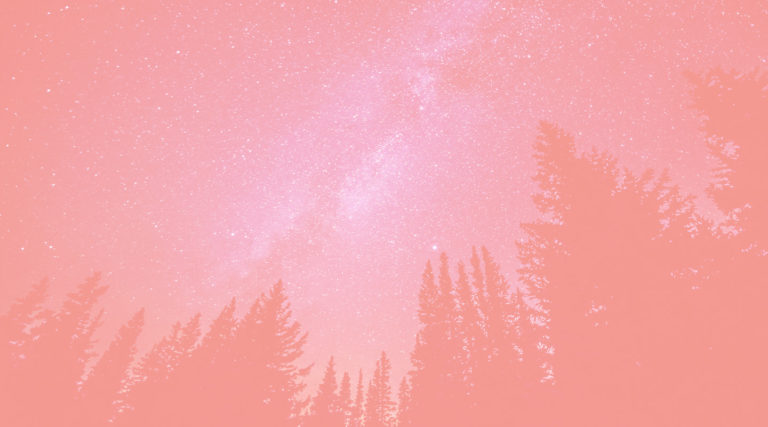 Ars Nova Singers banner background, rose