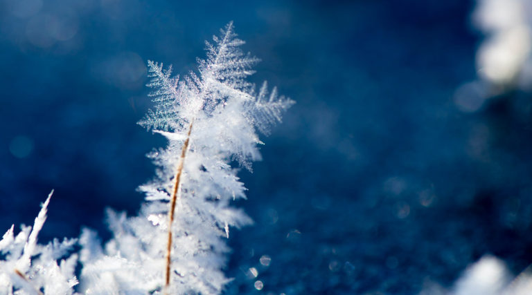 Close-up of a thin twig covered in delicate ice crystals against a blurred blue background, evoking the serene beauty of a Colorado Choir performance on a frosty winter morning.