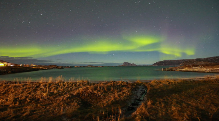 Northern lights glow green over a calm body of water, with grassy shore and distant mountains under a starry night sky—nature’s brilliance echoing the harmony of a Colorado Choir singing beneath the stars.