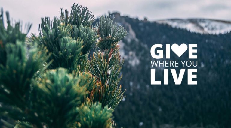 Close-up of pine branches with a blurred mountain in the background and the text "Give where you live" displayed to the right, celebrating community spirit with Colorado Choir.