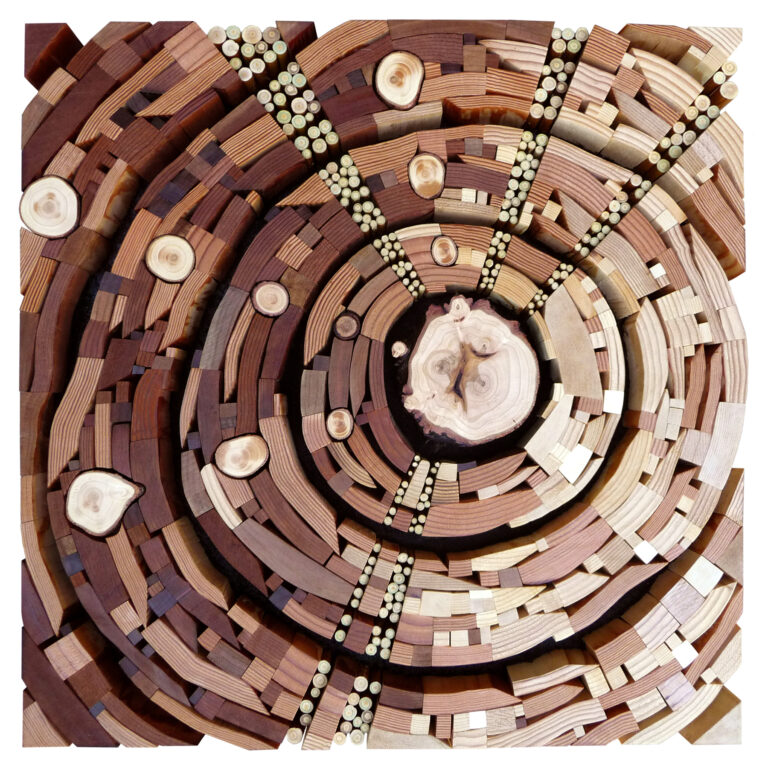 An arrangement of variously sized and colored wooden pieces forms concentric circular patterns, creating a geometric, abstract design reminiscent of a tree cross-section.