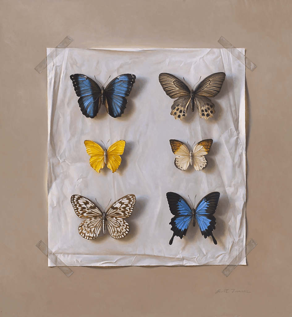 Six butterflies on a white and tan background.