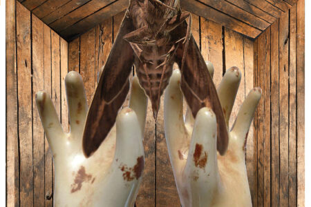 George Peters, Moth House of Hands. Dye sublimation print on polyester, fiberglass rod framing - 2014