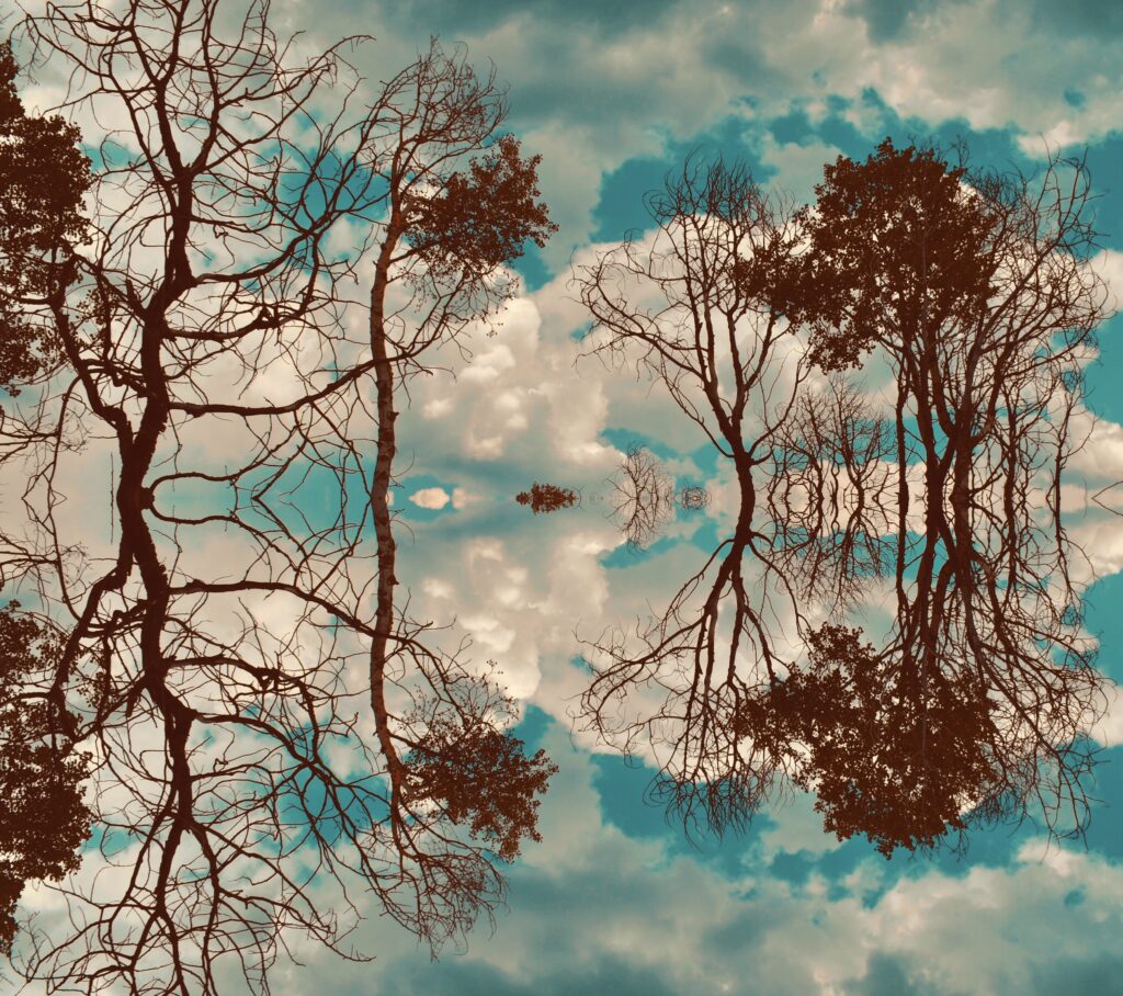 Mirrored image of bare and leafy trees against a cloudy sky, creating a symmetrical, abstract reflection effect reminiscent of the Shared Visions 2026 collection.